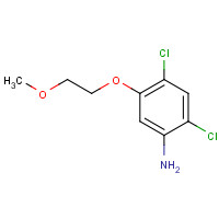 339278-77-2 2,4-dichloro-5-(2-methoxyethoxy)aniline chemical structure