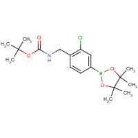 1002309-89-8 tert-butyl N-[[2-chloro-4-(4,4,5,5-tetramethyl-1,3,2-dioxaborolan-2-yl)phenyl]methyl]carbamate chemical structure