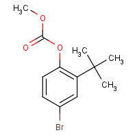 873055-66-4 (4-bromo-2-tert-butylphenyl) methyl carbonate chemical structure