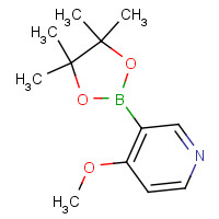 758699-74-0 4-methoxy-3-(4,4,5,5-tetramethyl-1,3,2-dioxaborolan-2-yl)pyridine chemical structure