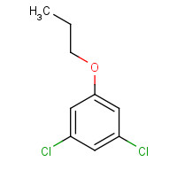 1202656-18-5 1,3-dichloro-5-propoxybenzene chemical structure