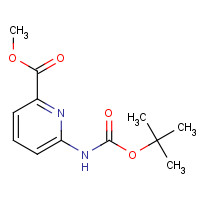 258497-48-2 methyl 6-[(2-methylpropan-2-yl)oxycarbonylamino]pyridine-2-carboxylate chemical structure