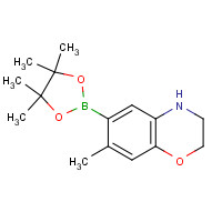 1567214-36-1 7-methyl-6-(4,4,5,5-tetramethyl-1,3,2-dioxaborolan-2-yl)-3,4-dihydro-2H-1,4-benzoxazine chemical structure