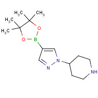 1175708-03-8 4-[4-(4,4,5,5-tetramethyl-1,3,2-dioxaborolan-2-yl)pyrazol-1-yl]piperidine chemical structure