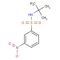 424818-25-7 N-tert-butyl-3-nitrobenzenesulfonamide chemical structure