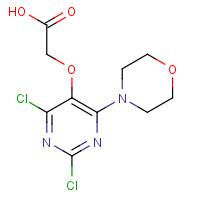 1572048-34-0 2-(2,4-dichloro-6-morpholin-4-ylpyrimidin-5-yl)oxyacetic acid chemical structure