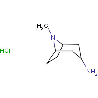 203664-57-7 8-methyl-8-azabicyclo[3.2.1]octan-3-amine;hydrochloride chemical structure