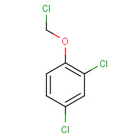 13543-09-4 2,4-dichloro-1-(chloromethoxy)benzene chemical structure