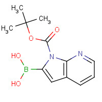 1373273-49-4 [1-[(2-methylpropan-2-yl)oxycarbonyl]pyrrolo[2,3-b]pyridin-2-yl]boronic acid chemical structure