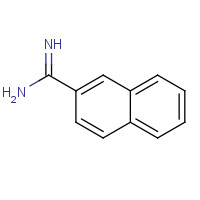 5651-14-9 naphthalene-2-carboximidamide chemical structure