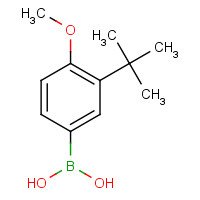 196960-96-0 (3-tert-butyl-4-methoxyphenyl)boronic acid chemical structure