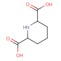 499-82-1 piperidine-2,6-dicarboxylic acid chemical structure