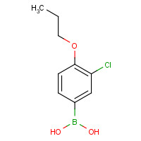 480438-57-1 (3-chloro-4-propoxyphenyl)boronic acid chemical structure