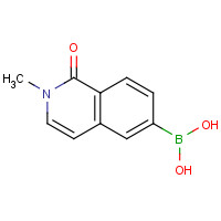 1251401-71-4 (2-methyl-1-oxoisoquinolin-6-yl)boronic acid chemical structure