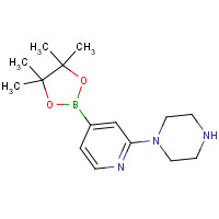 957198-31-1 1-[4-(4,4,5,5-tetramethyl-1,3,2-dioxaborolan-2-yl)pyridin-2-yl]piperazine chemical structure