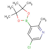 1621225-24-8 5-chloro-2-methyl-3-(4,4,5,5-tetramethyl-1,3,2-dioxaborolan-2-yl)pyridine chemical structure