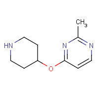 1263387-66-1 2-methyl-4-piperidin-4-yloxypyrimidine chemical structure