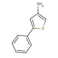 75782-81-9 5-phenylthiophen-3-amine chemical structure