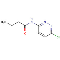 868948-12-3 N-(6-chloropyridazin-3-yl)butanamide chemical structure