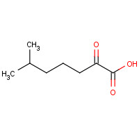 76390-95-9 6-methyl-2-oxoheptanoic acid chemical structure