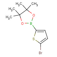 676501-84-1 2-(5-bromothiophen-2-yl)-4,4,5,5-tetramethyl-1,3,2-dioxaborolane chemical structure
