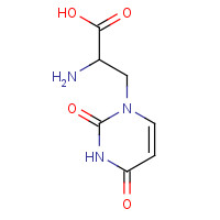 19772-76-0 2-amino-3-(2,4-dioxopyrimidin-1-yl)propanoic acid chemical structure