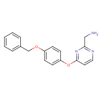 769961-03-7 [4-(4-phenylmethoxyphenoxy)pyrimidin-2-yl]methanamine chemical structure