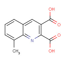 892874-73-6 8-methylquinoline-2,3-dicarboxylic acid chemical structure