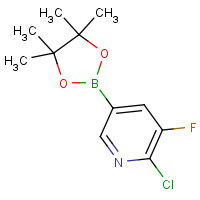1073312-28-3 2-chloro-3-fluoro-5-(4,4,5,5-tetramethyl-1,3,2-dioxaborolan-2-yl)pyridine chemical structure
