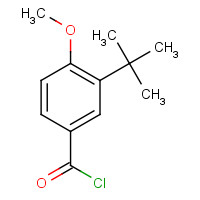 104224-76-2 3-tert-butyl-4-methoxybenzoyl chloride chemical structure