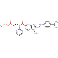 429658-95-7 ethyl 3-[[2-[(4-carbamimidoylanilino)methyl]-1-methylbenzimidazole-5-carbonyl]-pyridin-2-ylamino]propanoate chemical structure