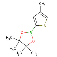 635305-48-5 4,4,5,5-tetramethyl-2-(4-methylthiophen-2-yl)-1,3,2-dioxaborolane chemical structure