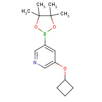 1257553-86-8 3-cyclobutyloxy-5-(4,4,5,5-tetramethyl-1,3,2-dioxaborolan-2-yl)pyridine chemical structure