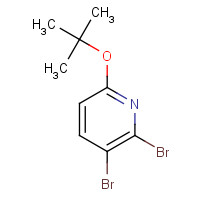 1463441-28-2 2,3-dibromo-6-[(2-methylpropan-2-yl)oxy]pyridine chemical structure