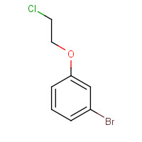 730978-54-8 1-bromo-3-(2-chloroethoxy)benzene chemical structure
