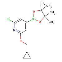 1610521-20-4 2-chloro-6-(cyclopropylmethoxy)-4-(4,4,5,5-tetramethyl-1,3,2-dioxaborolan-2-yl)pyridine chemical structure