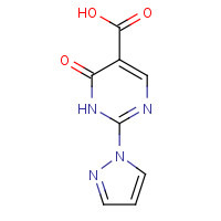 1187992-96-6 6-oxo-2-pyrazol-1-yl-1H-pyrimidine-5-carboxylic acid chemical structure