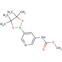 1430401-05-0 methyl N-[5-(4,4,5,5-tetramethyl-1,3,2-dioxaborolan-2-yl)pyridin-3-yl]carbamate chemical structure