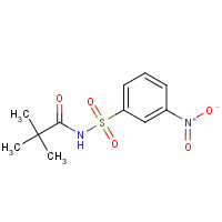 146374-29-0 2,2-dimethyl-N-(3-nitrophenyl)sulfonylpropanamide chemical structure