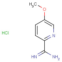 1179359-60-4 5-methoxypyridine-2-carboximidamide;hydrochloride chemical structure
