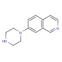 683243-32-5 7-piperazin-1-ylisoquinoline chemical structure