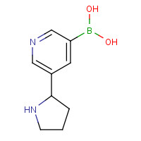 899437-13-9 (5-pyrrolidin-2-ylpyridin-3-yl)boronic acid chemical structure