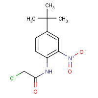 680213-46-1 N-(4-tert-butyl-2-nitrophenyl)-2-chloroacetamide chemical structure