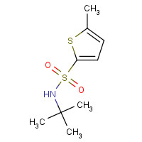 70842-27-2 N-tert-butyl-5-methylthiophene-2-sulfonamide chemical structure