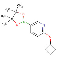 1417625-27-4 2-cyclobutyloxy-5-(4,4,5,5-tetramethyl-1,3,2-dioxaborolan-2-yl)pyridine chemical structure