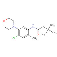 1007226-97-2 N-(4-chloro-2-methyl-5-morpholin-4-ylphenyl)-3,3-dimethylbutanamide chemical structure