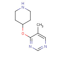 1263387-63-8 5-methyl-4-piperidin-4-yloxypyrimidine chemical structure