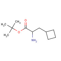 313979-47-4 tert-butyl 2-amino-3-cyclobutylpropanoate chemical structure