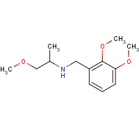356090-87-4 N-[(2,3-dimethoxyphenyl)methyl]-1-methoxypropan-2-amine chemical structure