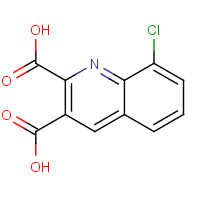 892874-58-7 8-chloroquinoline-2,3-dicarboxylic acid chemical structure